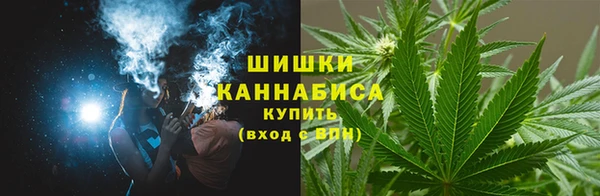 гашик Горнозаводск