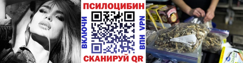 MEGA ССЫЛКА  Зеленокумск  Псилоцибиновые грибы Psilocybe  где можно купить наркотик 